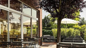 Un patio exterior con mesas y sillas, ventanas amplias y un árbol.