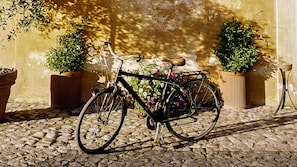 Bicycling