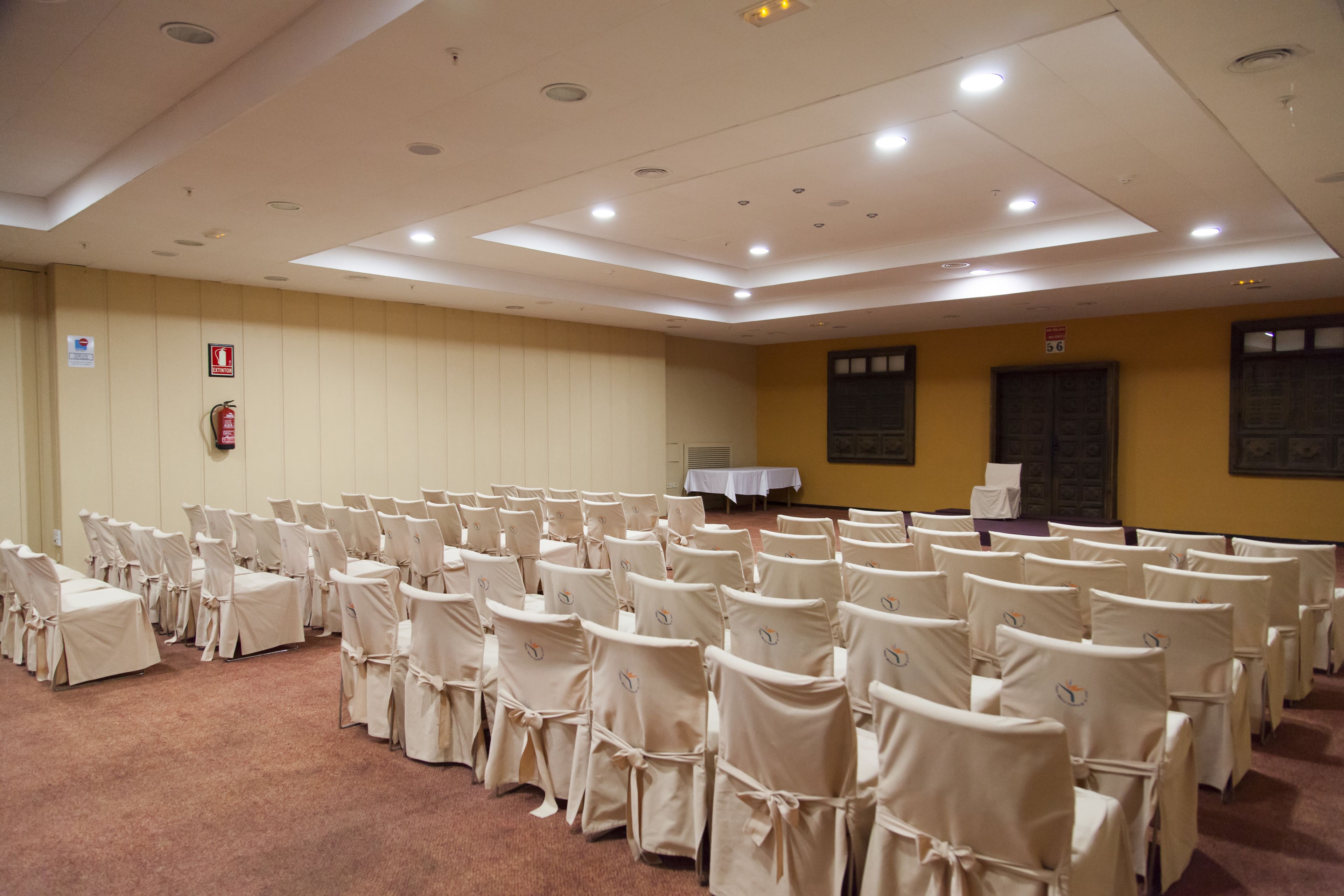 Foto - FERGUS Puerto de la Cruz