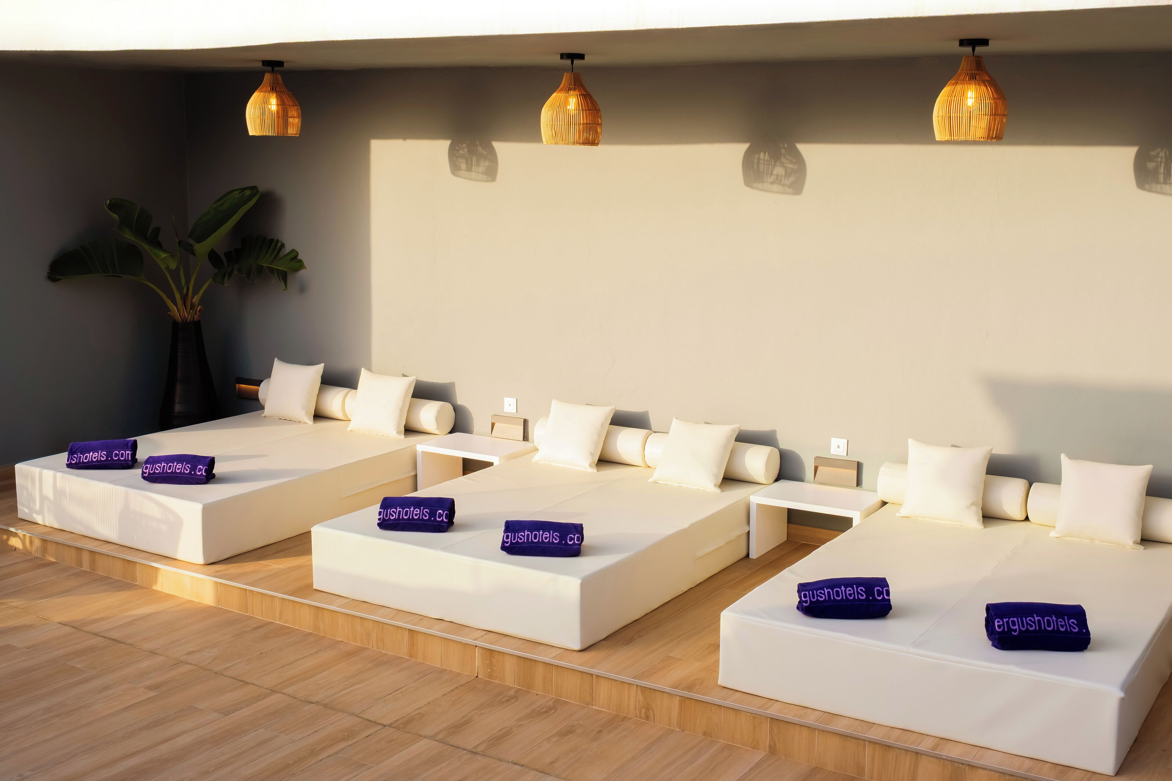 Foto - FERGUS Puerto de la Cruz