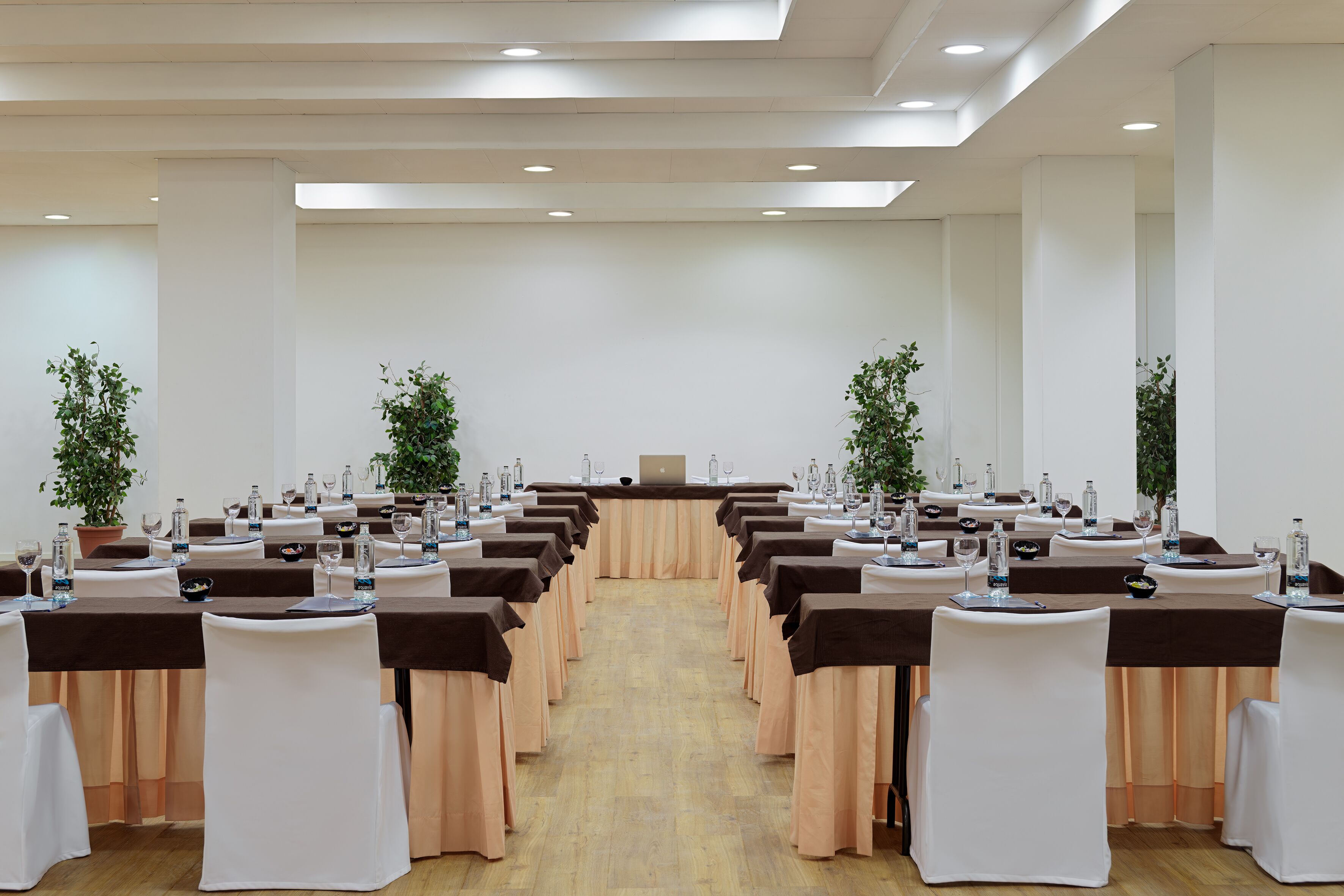 Foto - FERGUS Puerto de la Cruz