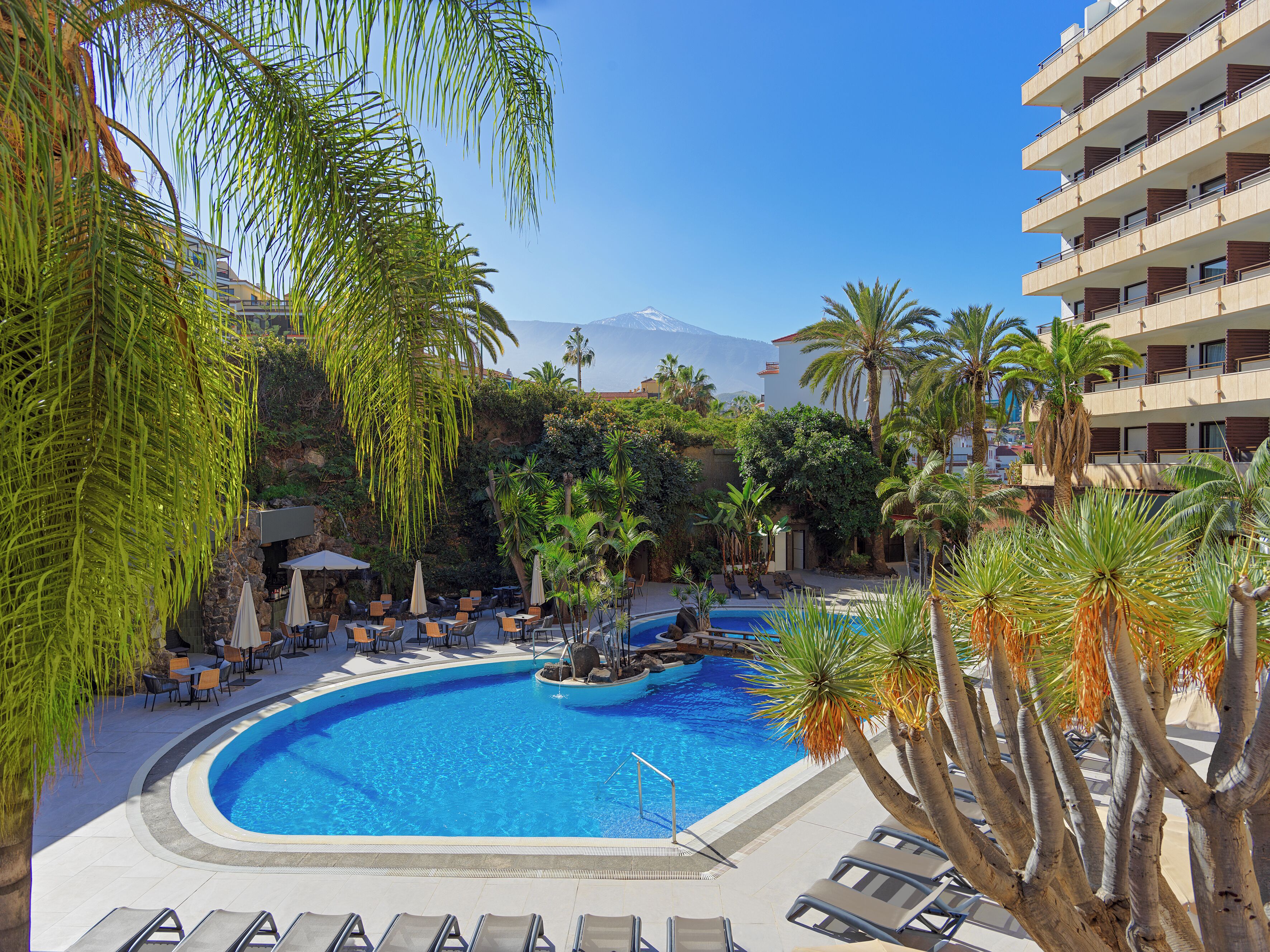 Foto - FERGUS Puerto de la Cruz