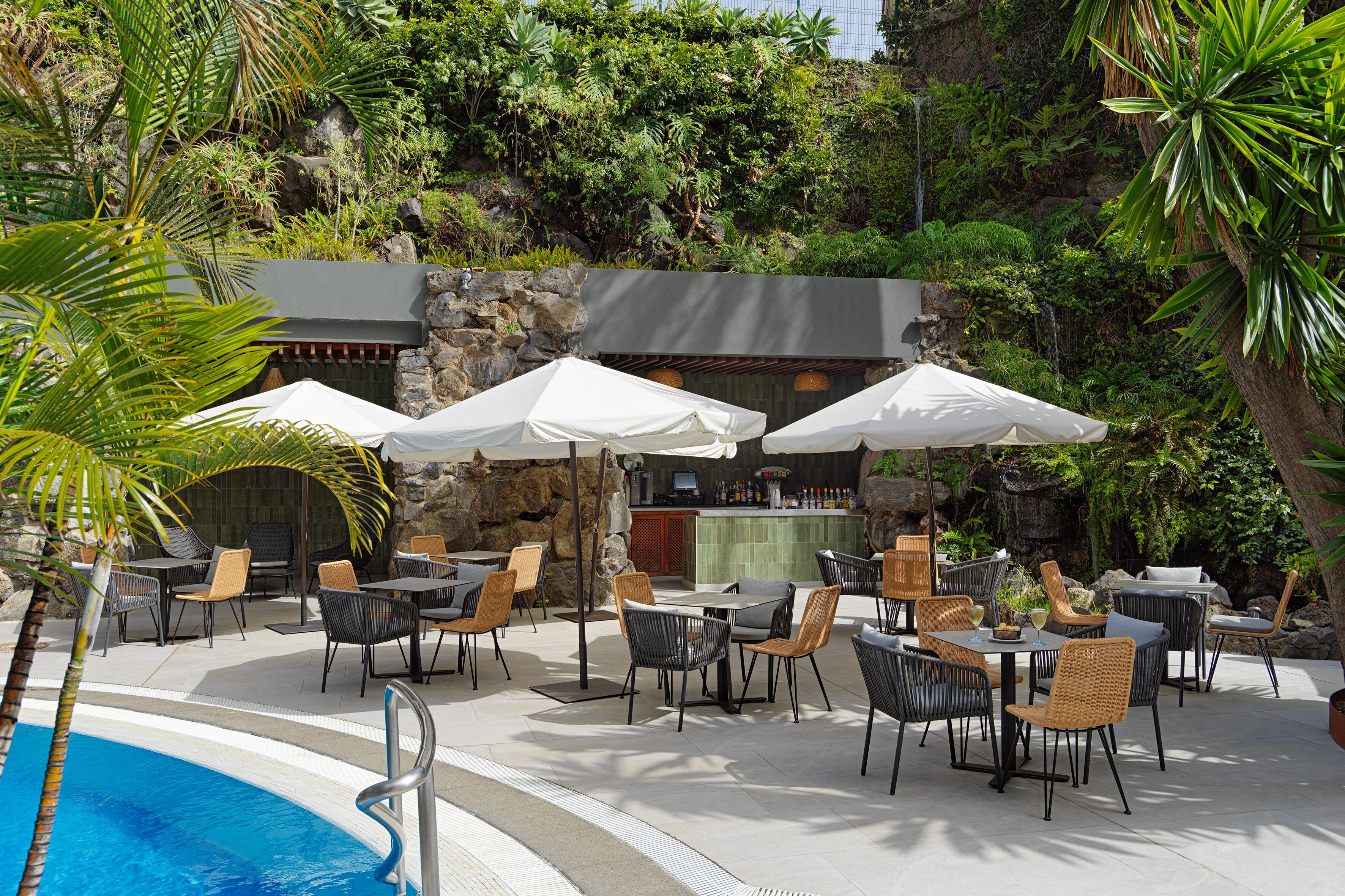 Foto - FERGUS Puerto de la Cruz