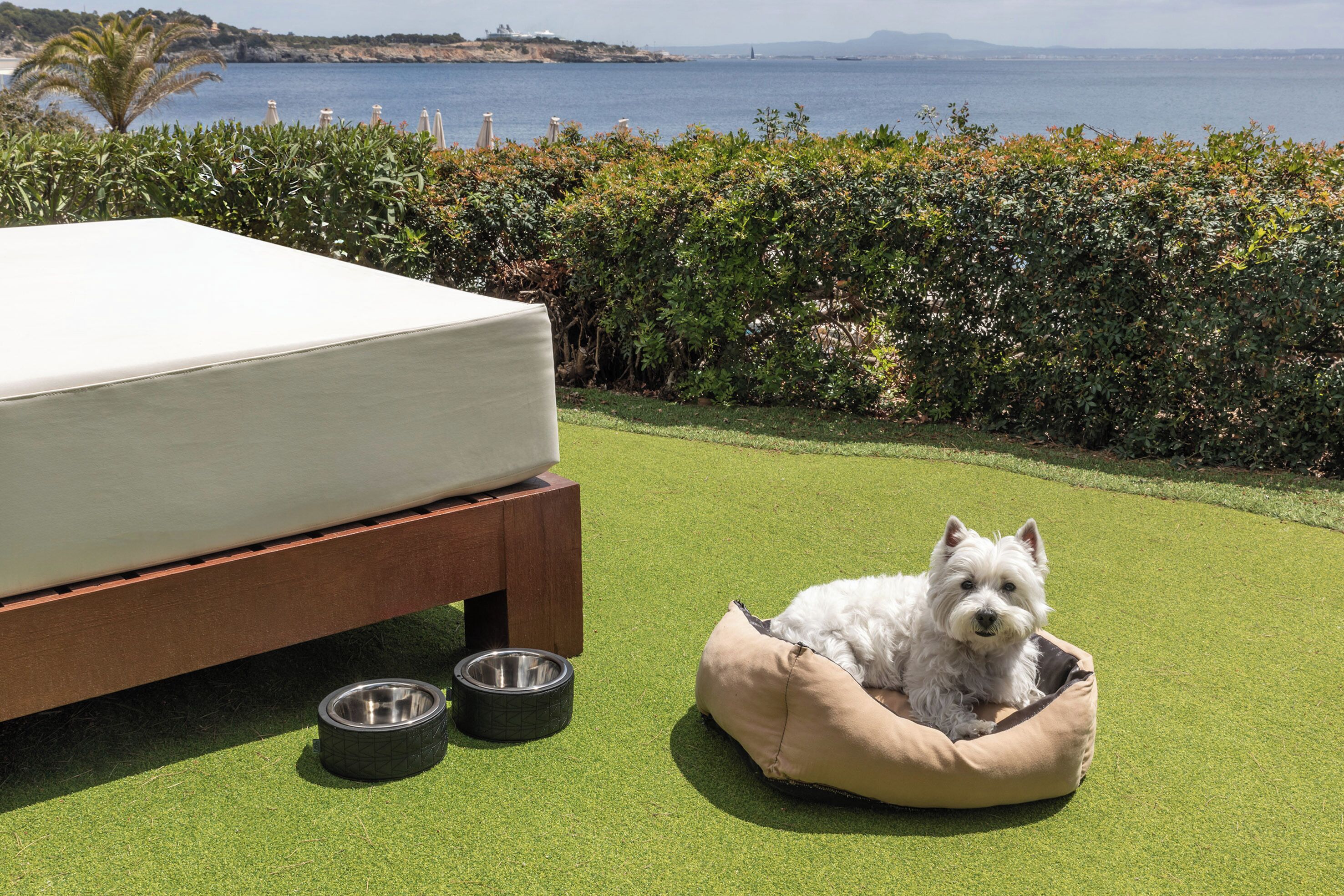 Un perro descansando en una cama sobre césped artificial, con vista al mar y un marco de madera.