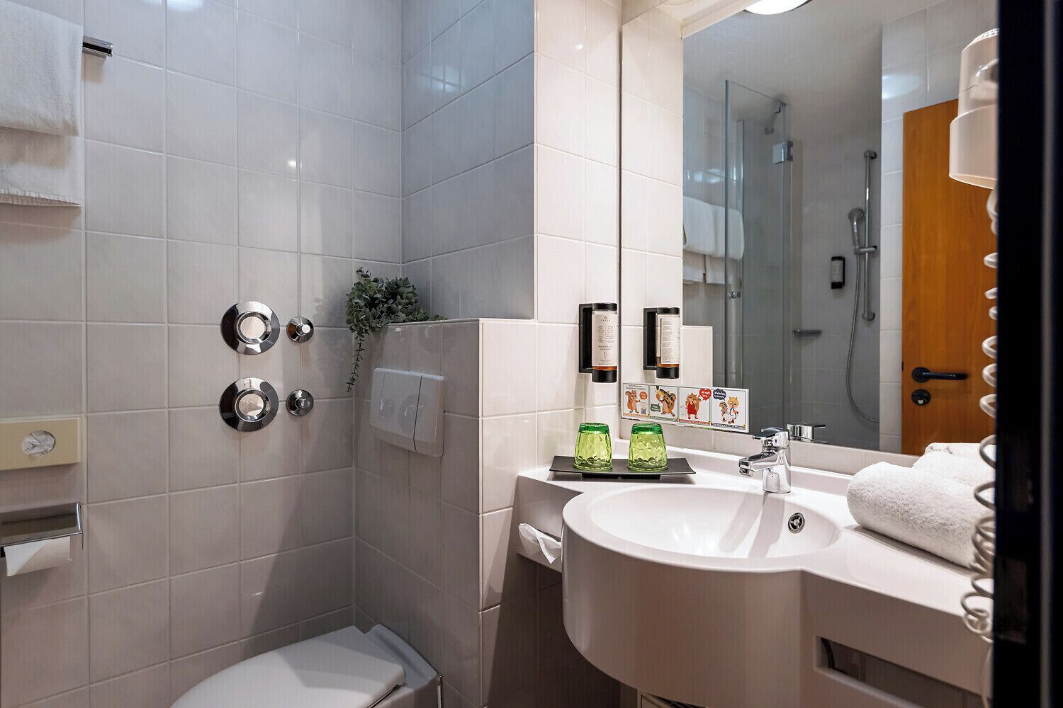 Eco-friendly toiletries, hair dryer, towels