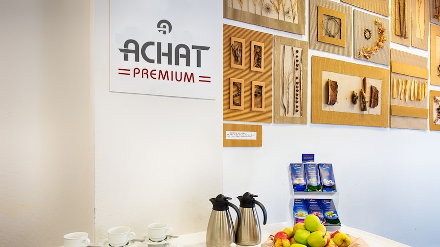 茨维考 ACHAT 酒店