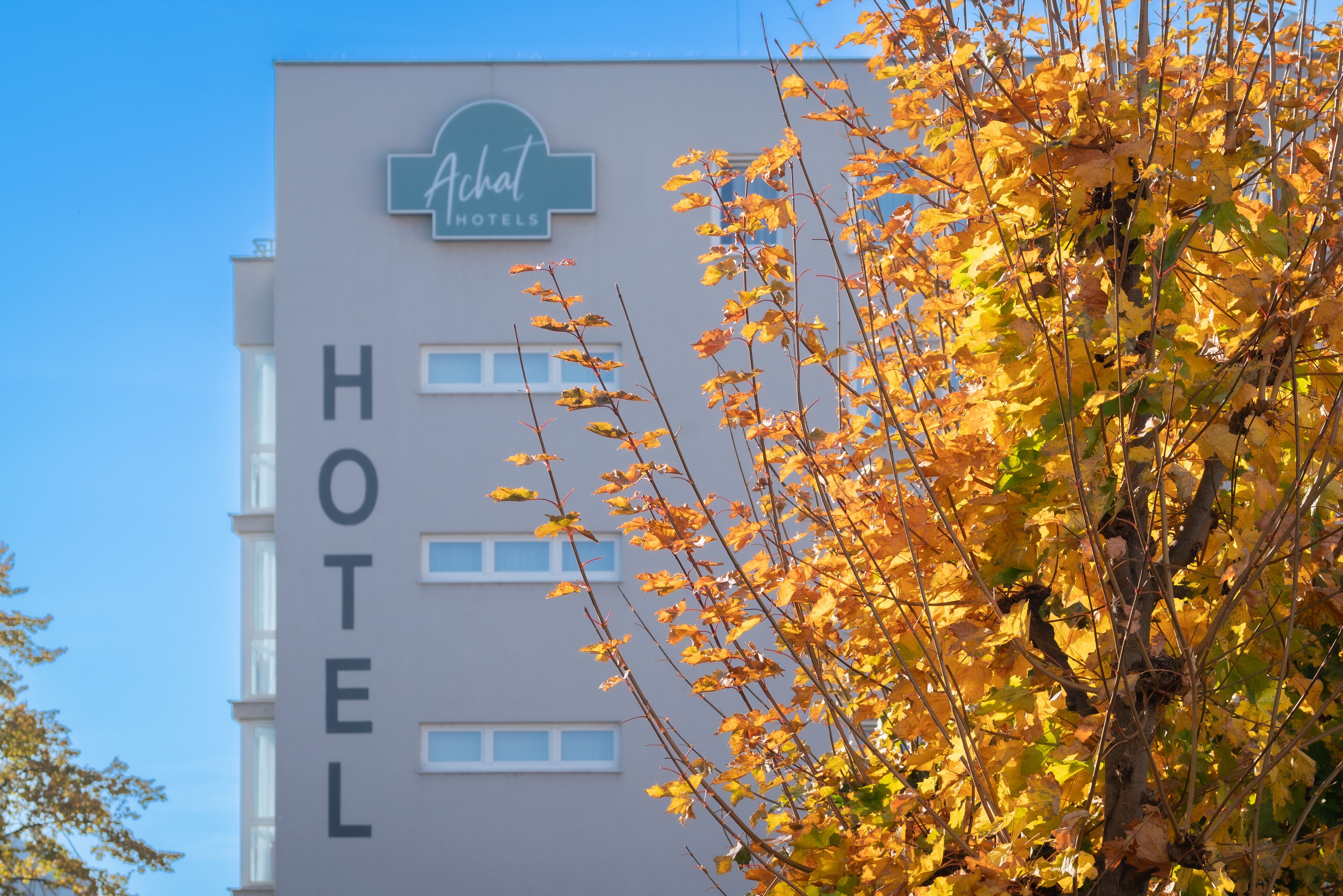 Photo - ACHAT Hotel Dresden Altstadt