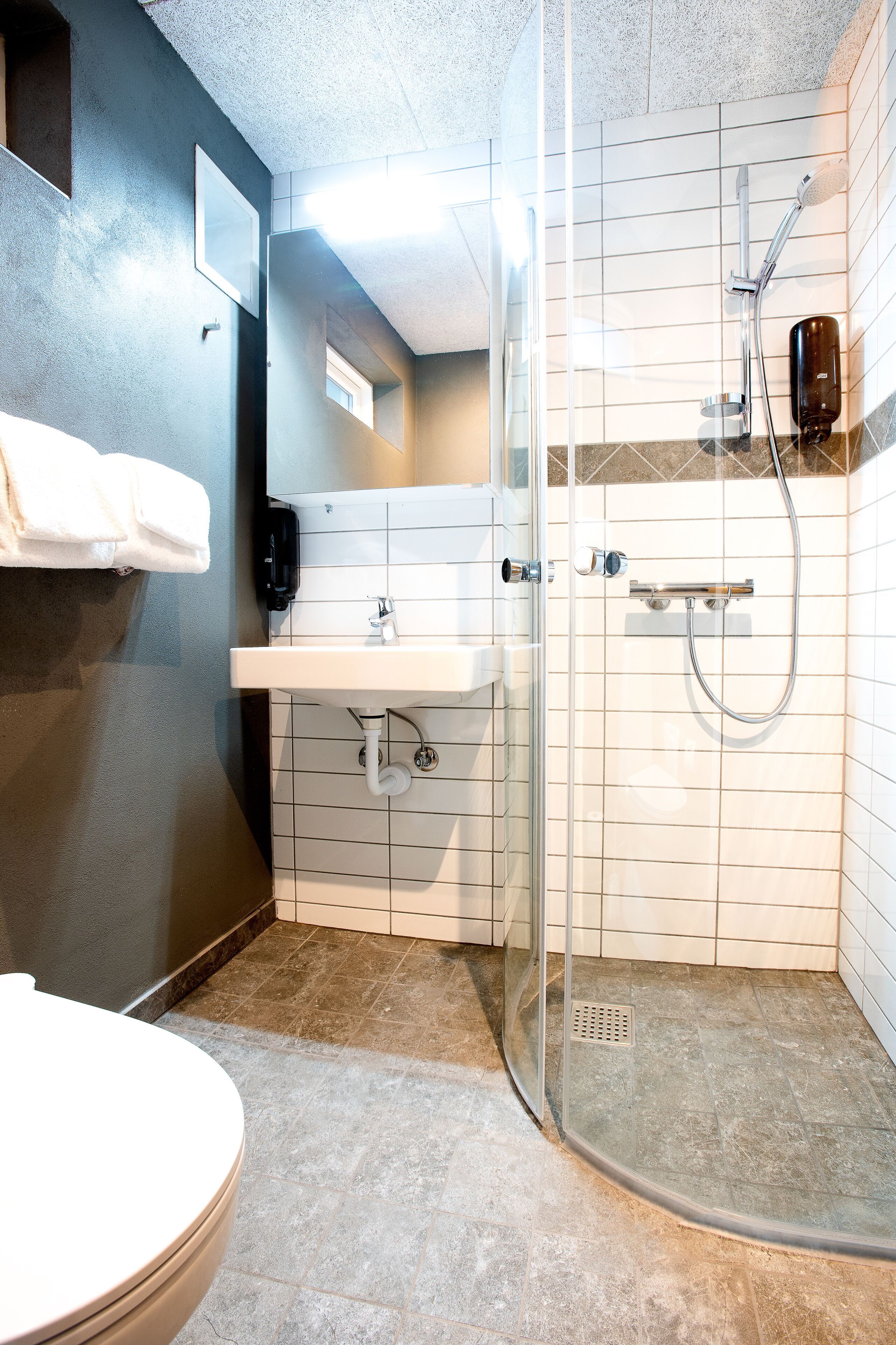 standard room | bathroom shower