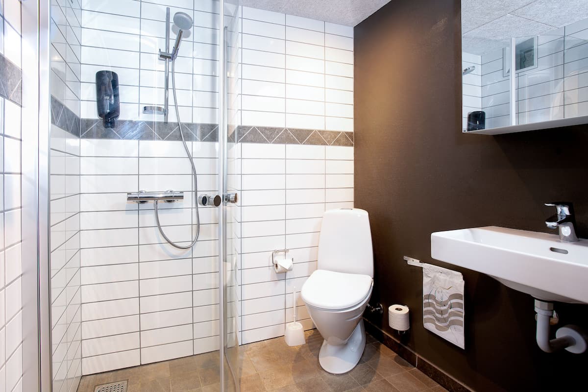 shower, free toiletries, hair dryer, towels