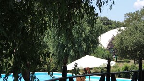 A pool area with a view of the pool, surrounded by greenery and a white umbrella.