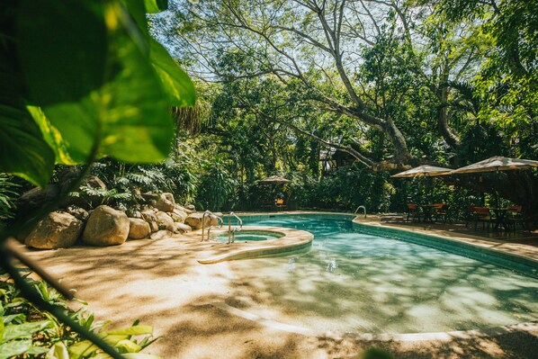 Outdoor pool, sun loungers