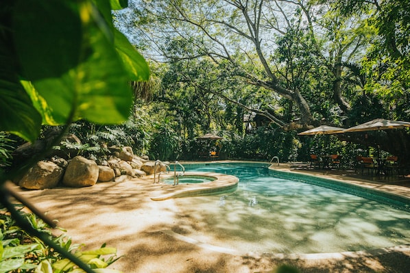 Outdoor pool, pool loungers