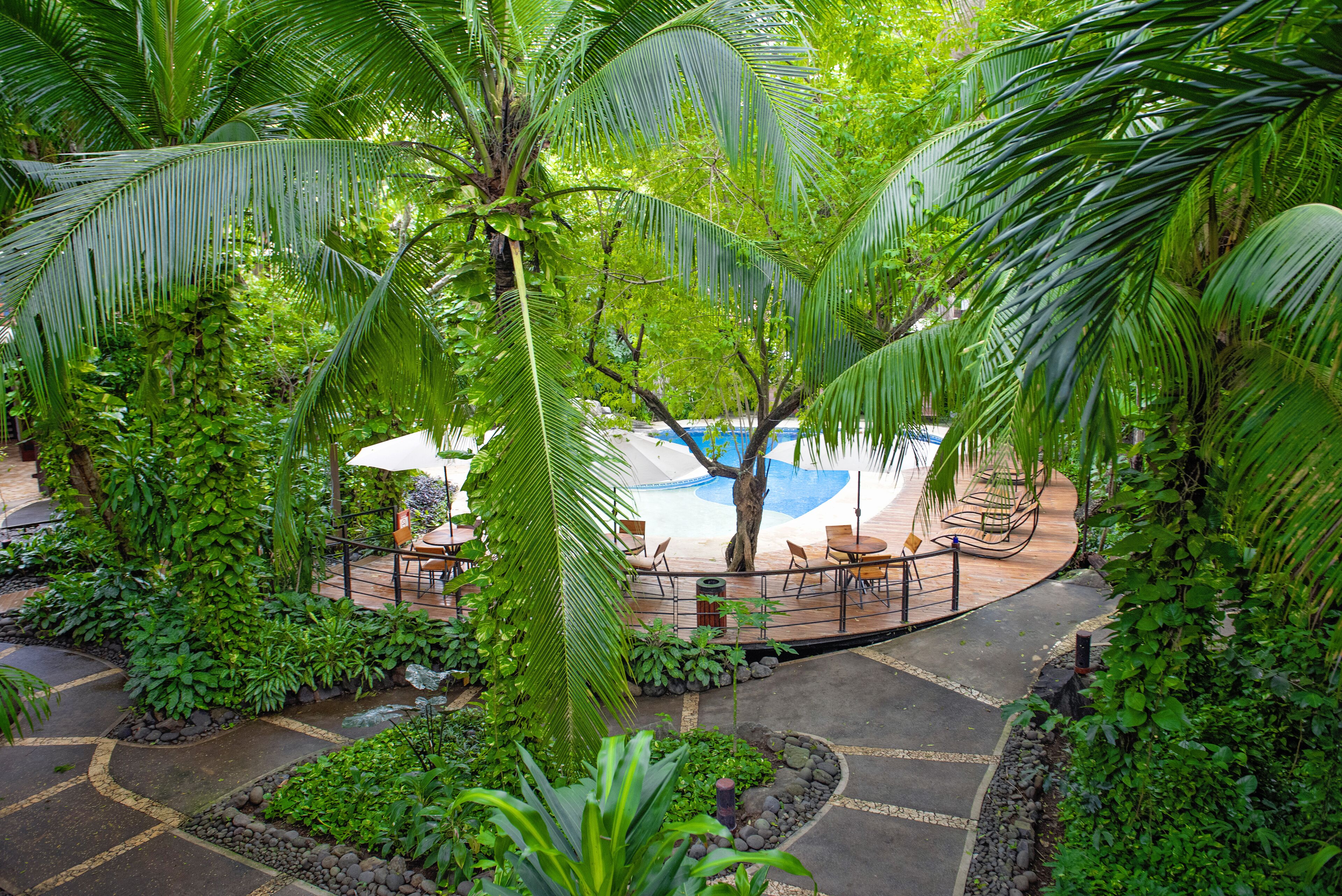 A tropical outdoor area with a pool, seating, and lush greenery.