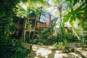 Tropical Suite | Vue de la chambre