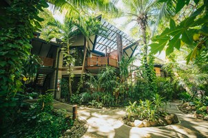 Tropical Suite | View from room