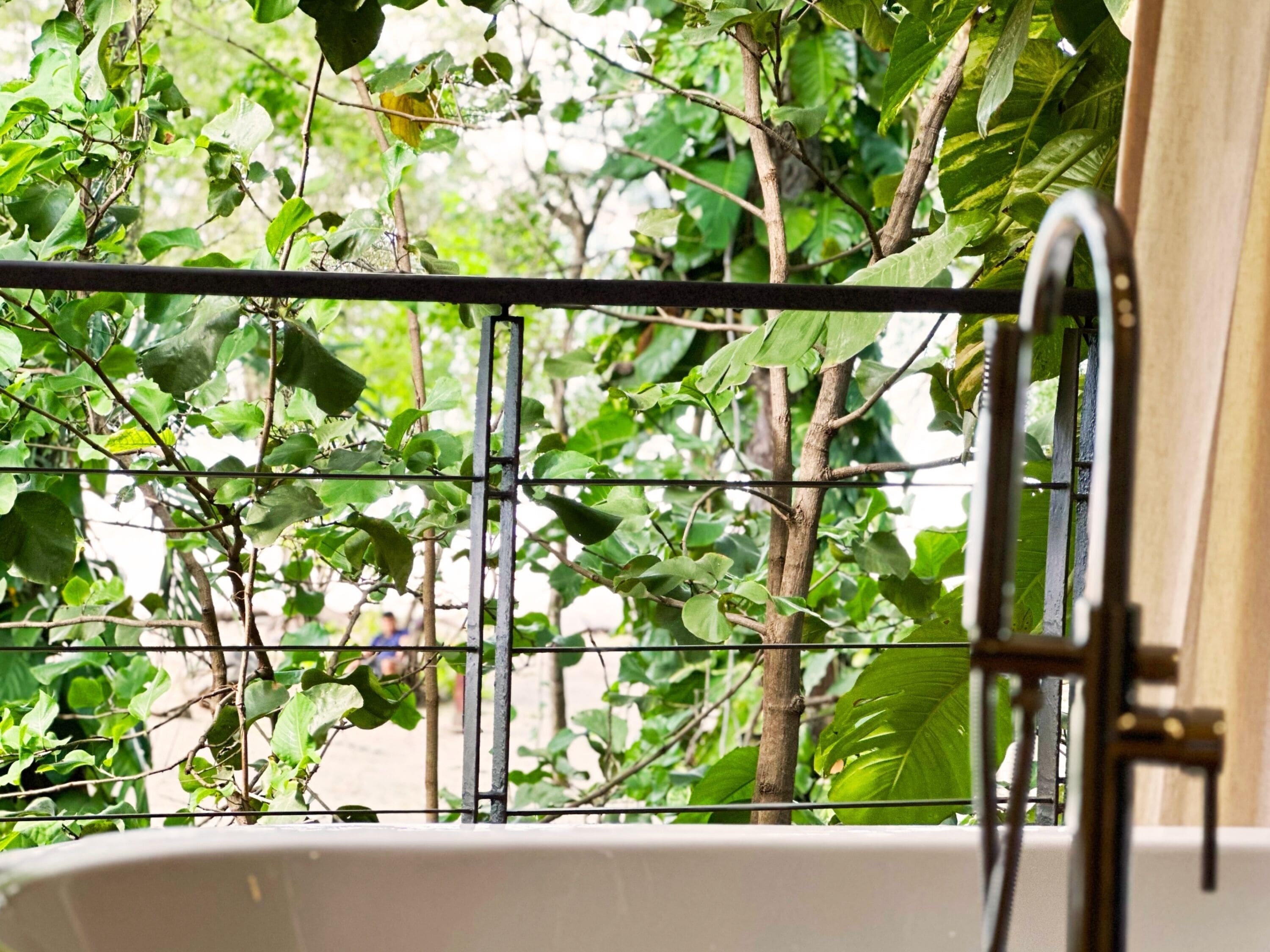 A bathtub with a metal railing, surrounded by lush green foliage.