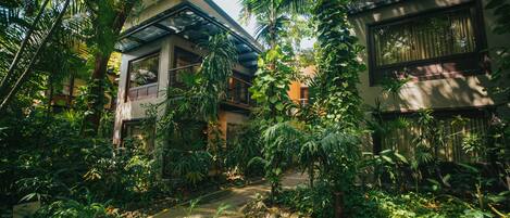 A lush indoor garden with a pathway leading to a building entrance.