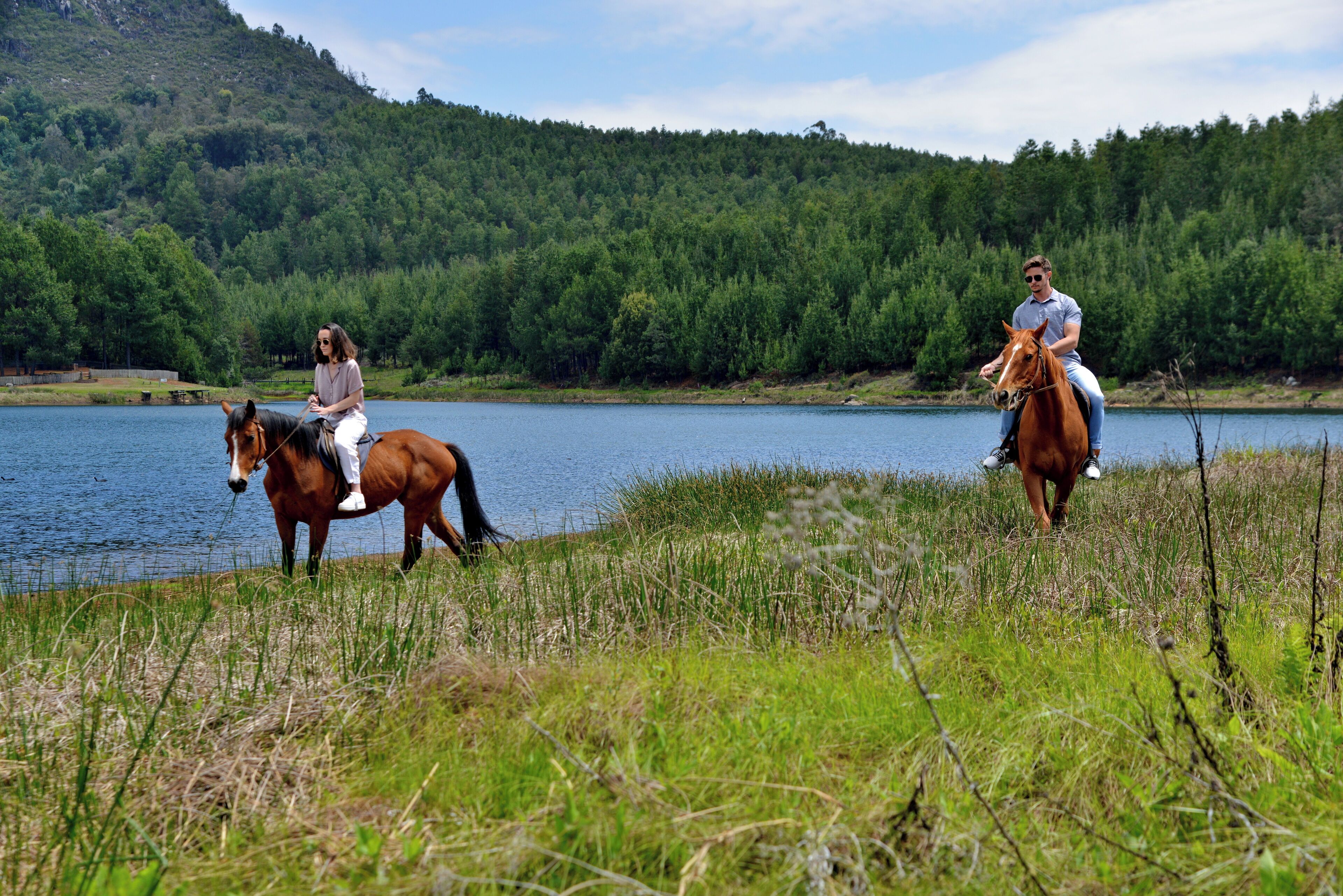 Dos personas montando a caballo por un sendero a orillas de un lago, con una colina boscosa al fondo.