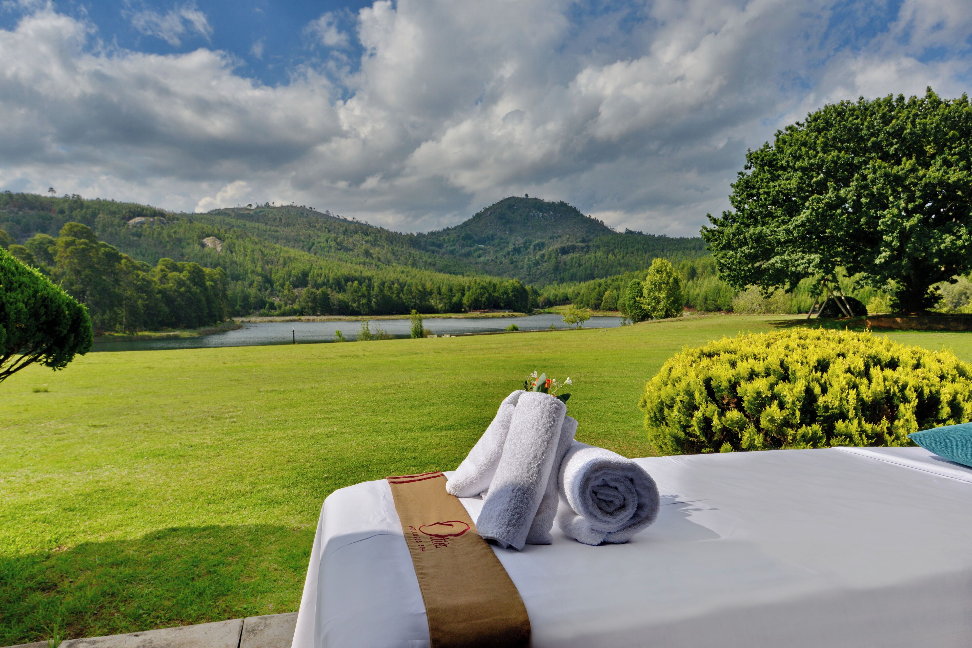 Servizio della struttura