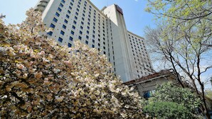 Property grounds - Rosedale Hotel & Suites Beijing (Beijing)