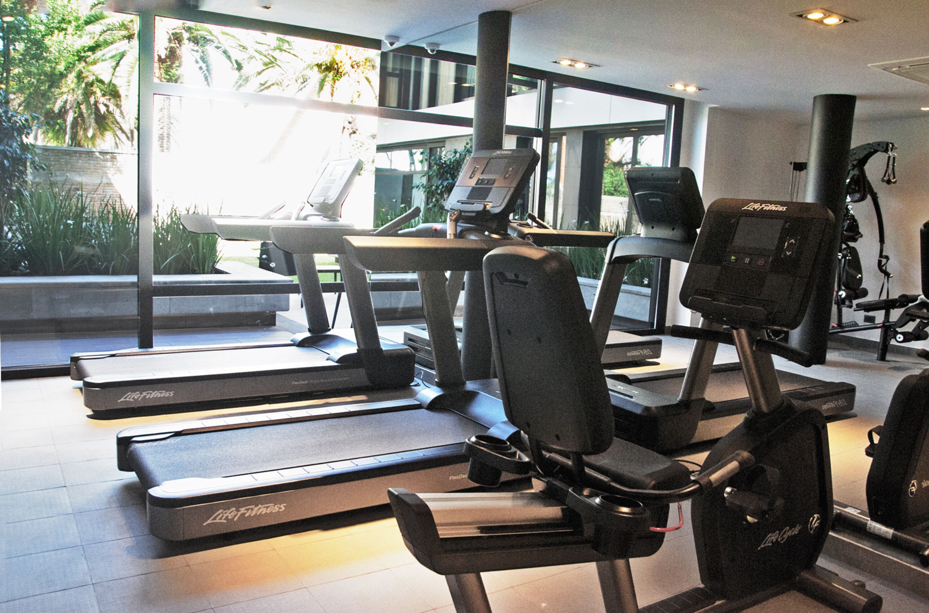 A gym with treadmills, an elliptical, and weight machines.