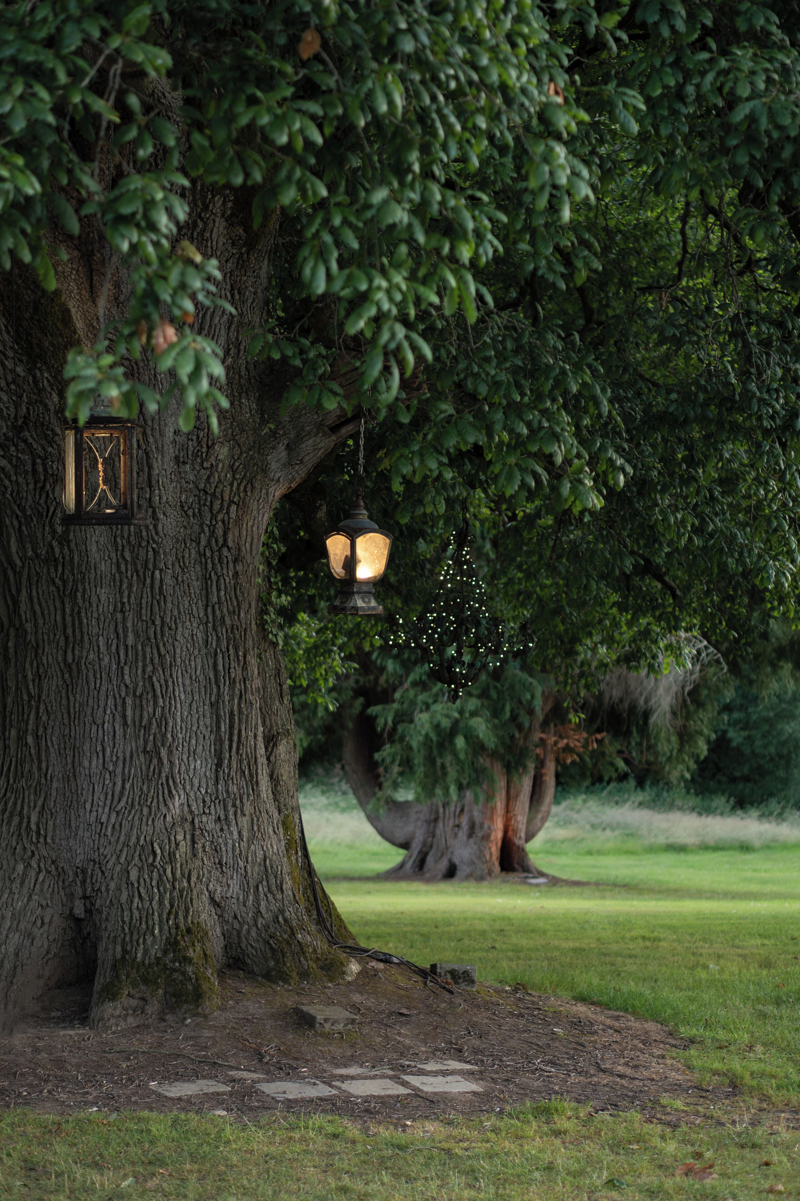 A large tree with a lantern hanging from its branches and a small tree decorated with lights.