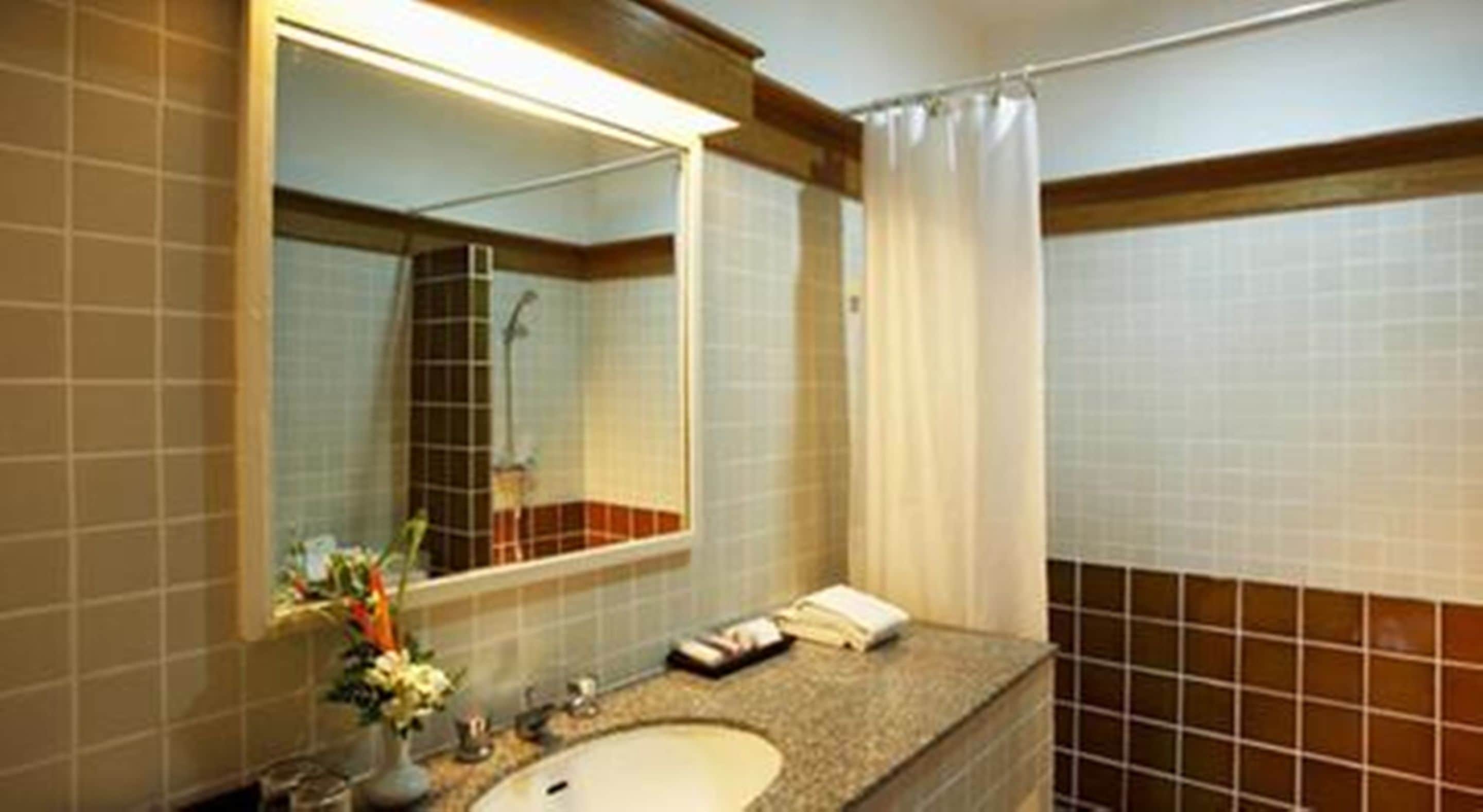 A bathroom with a sink, mirror, and shower curtain.