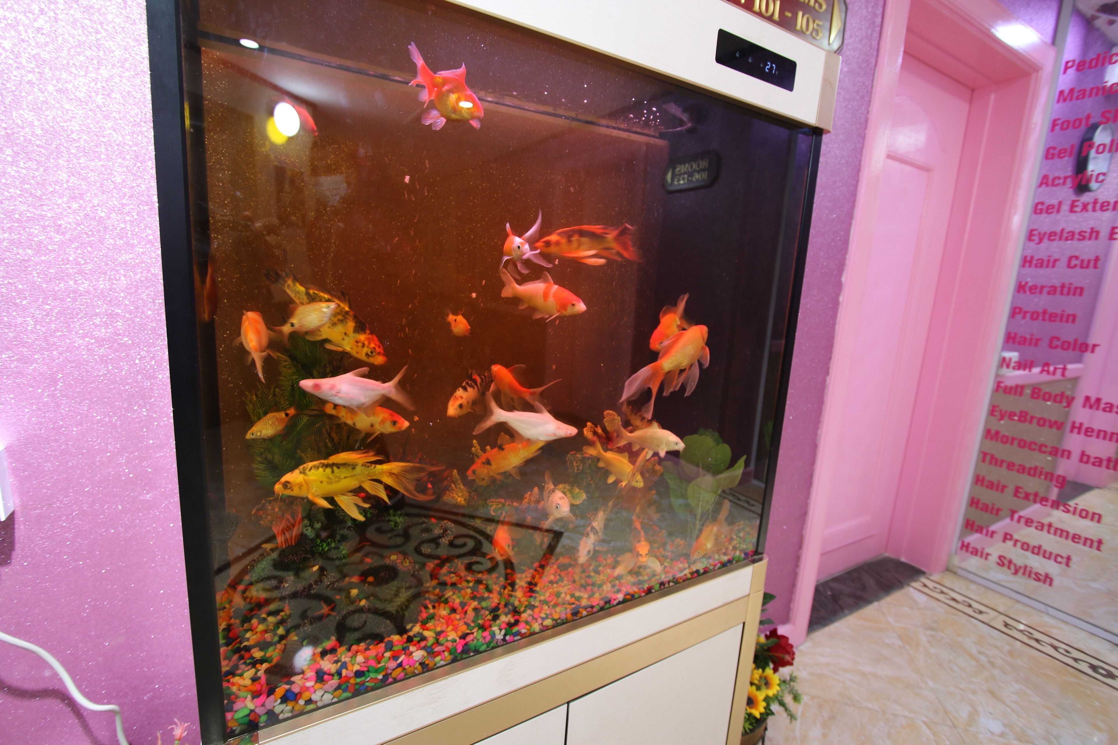 Photo - Knight Armour Hotel