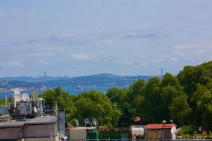 Una azotea con antenas parabólicas, vistas a un puente y árboles verdes exuberantes.