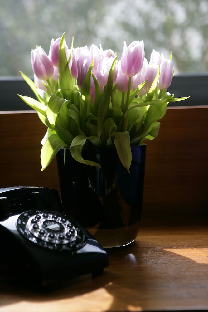 The Fitzwilliam Hotel Dublin by null