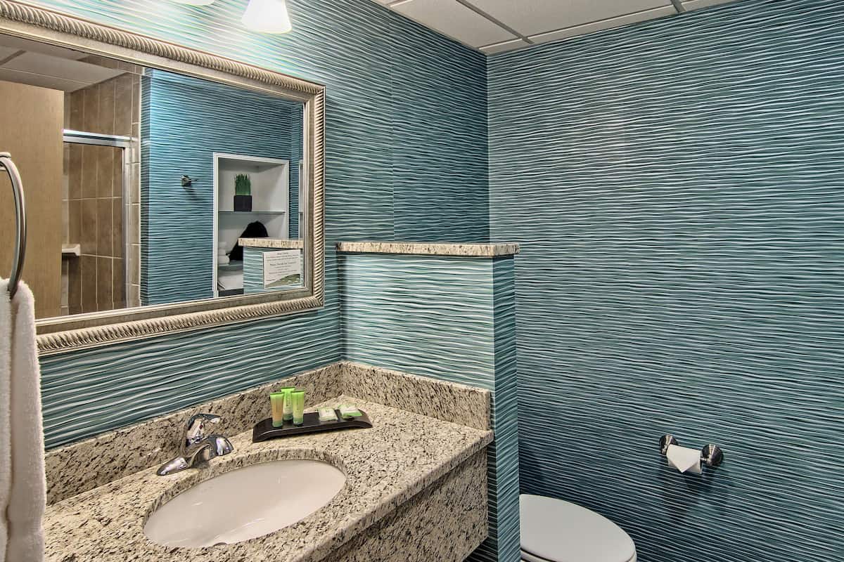 free toiletries, hair dryer, towels