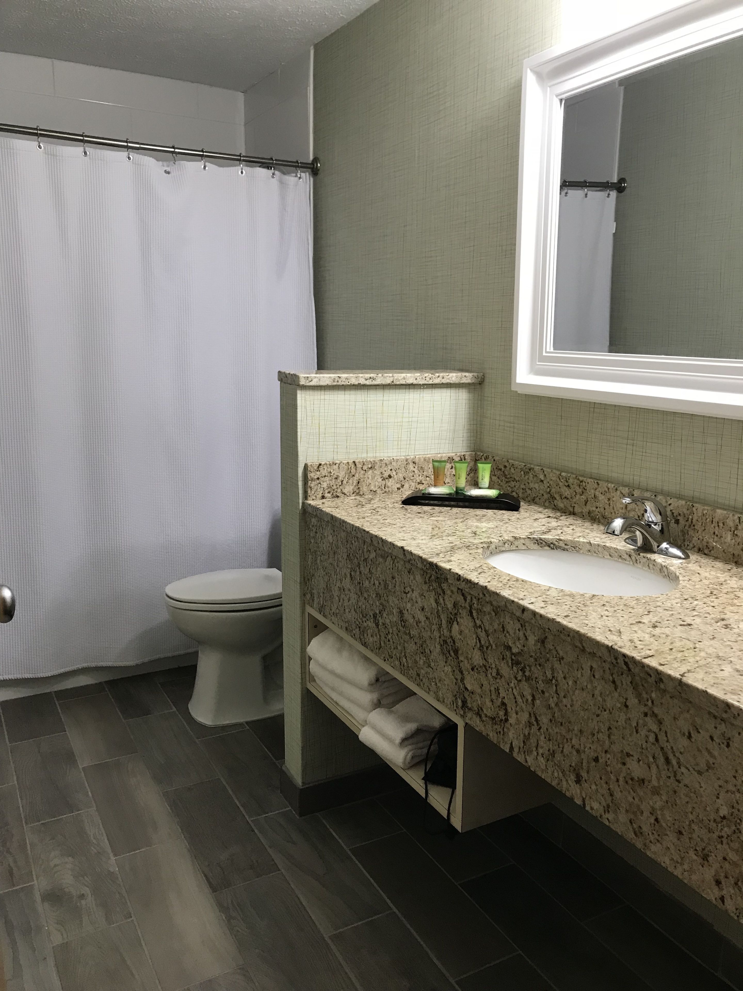 Une salle de bain avec un rideau de douche, des toilettes, un lavabo avec un miroir et un porte-serviettes.