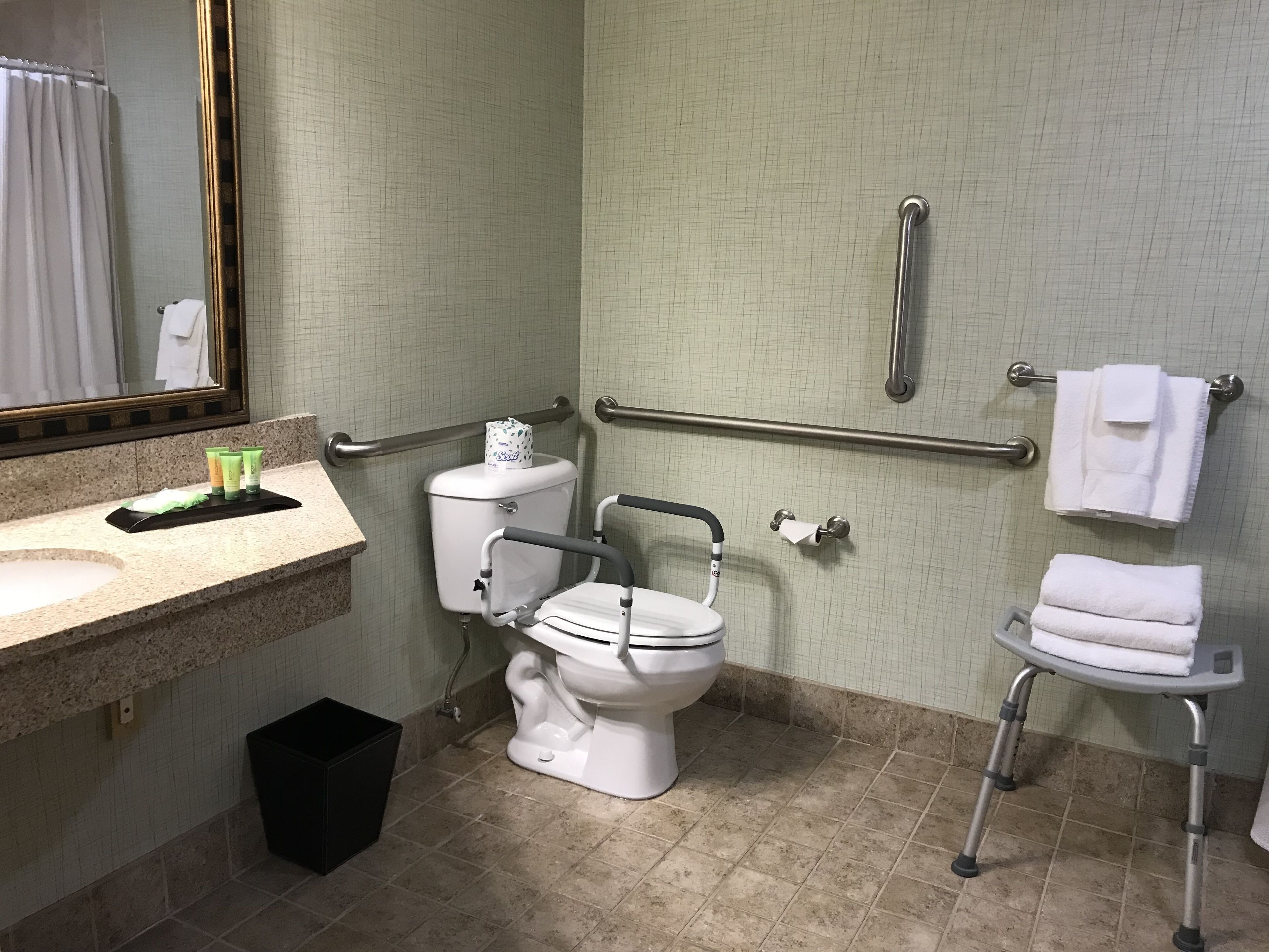 A bathroom with a toilet, a sink, a mirror, a handrail, and a towel rack.