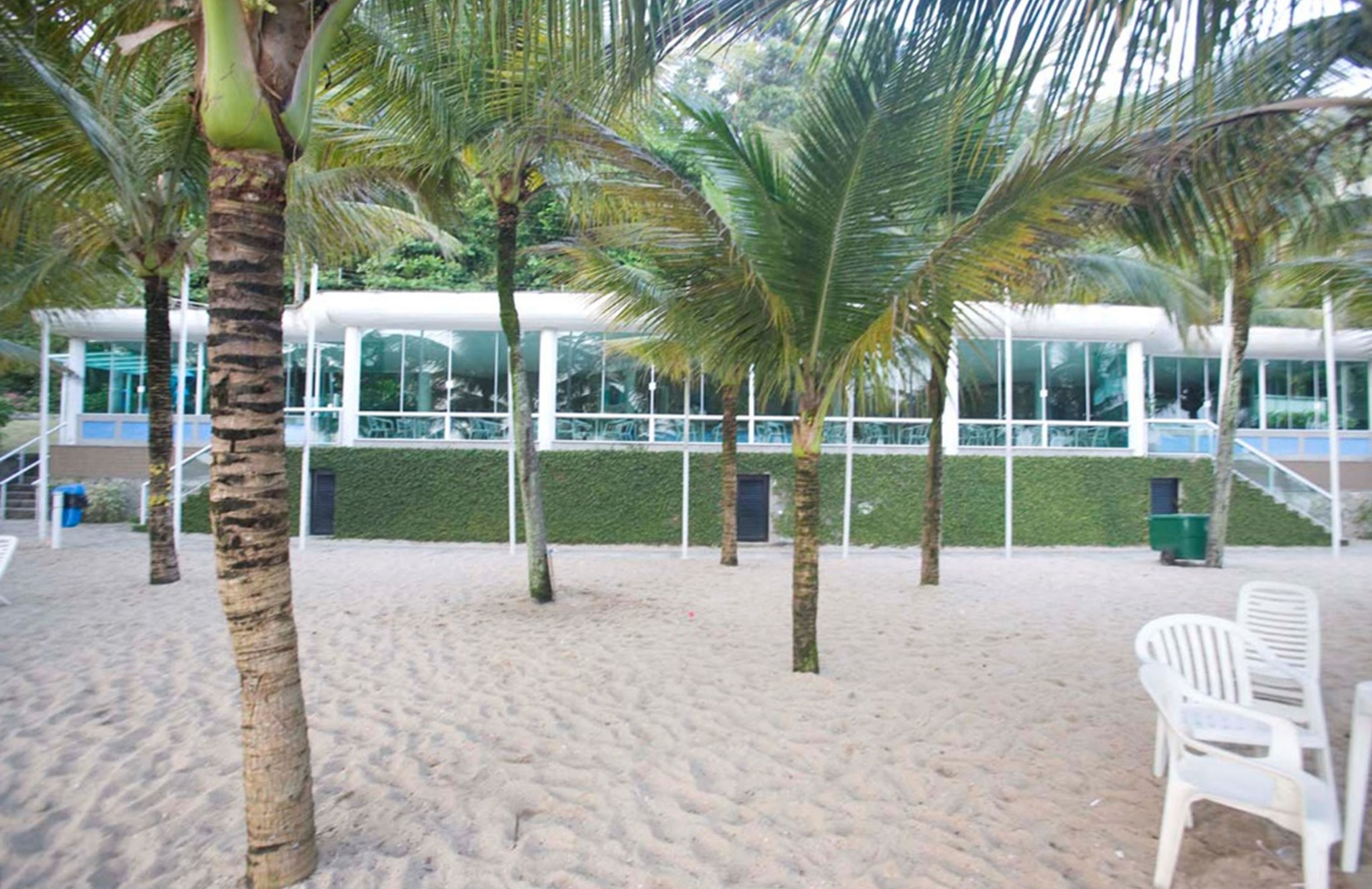 A sandy beach area with palm trees and white plastic chairs.