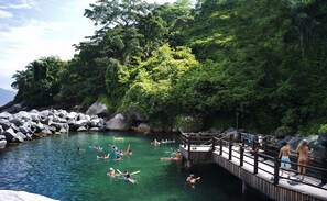 Piscine couverte, 3 piscines extérieures, parasols de plage