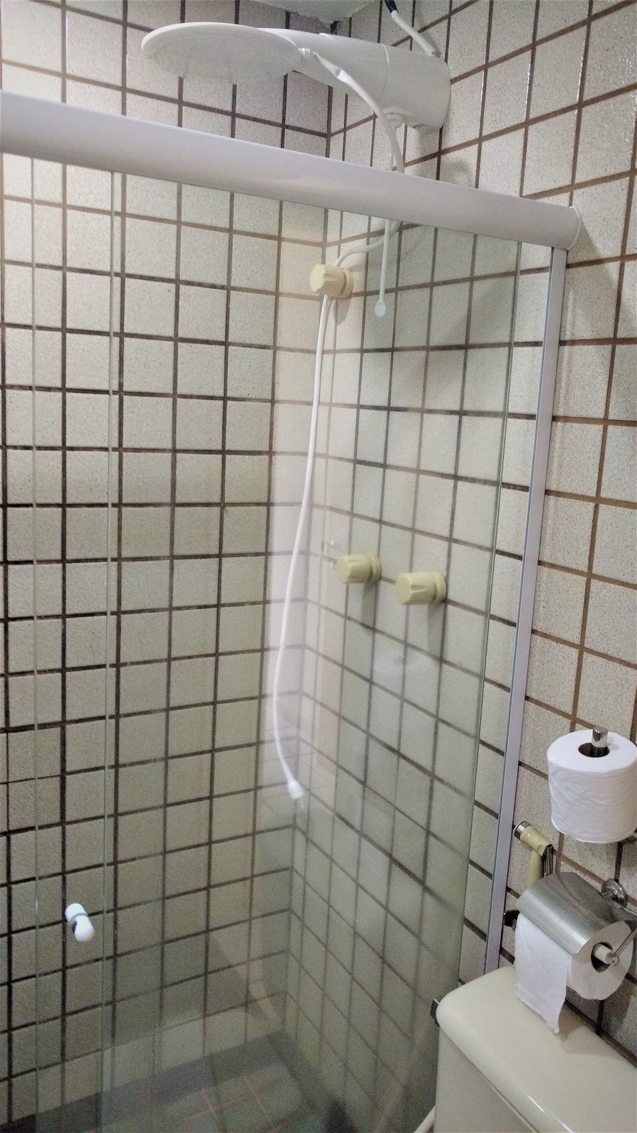 Ducha con puerta de vidrio, inodoro y un rollo de papel higiénico en su soporte.