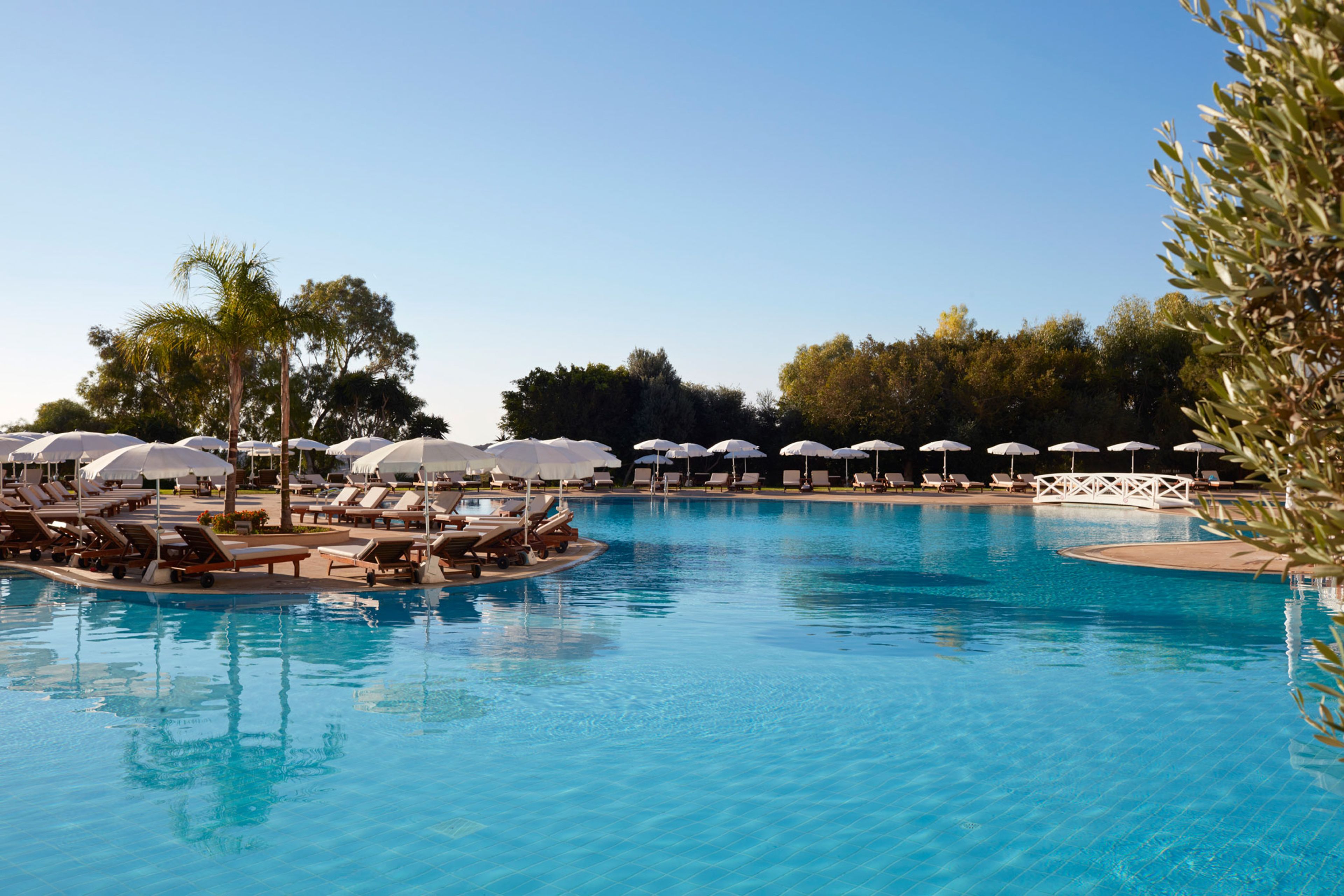 A large swimming pool with sun loungers and umbrellas, surrounded by trees.