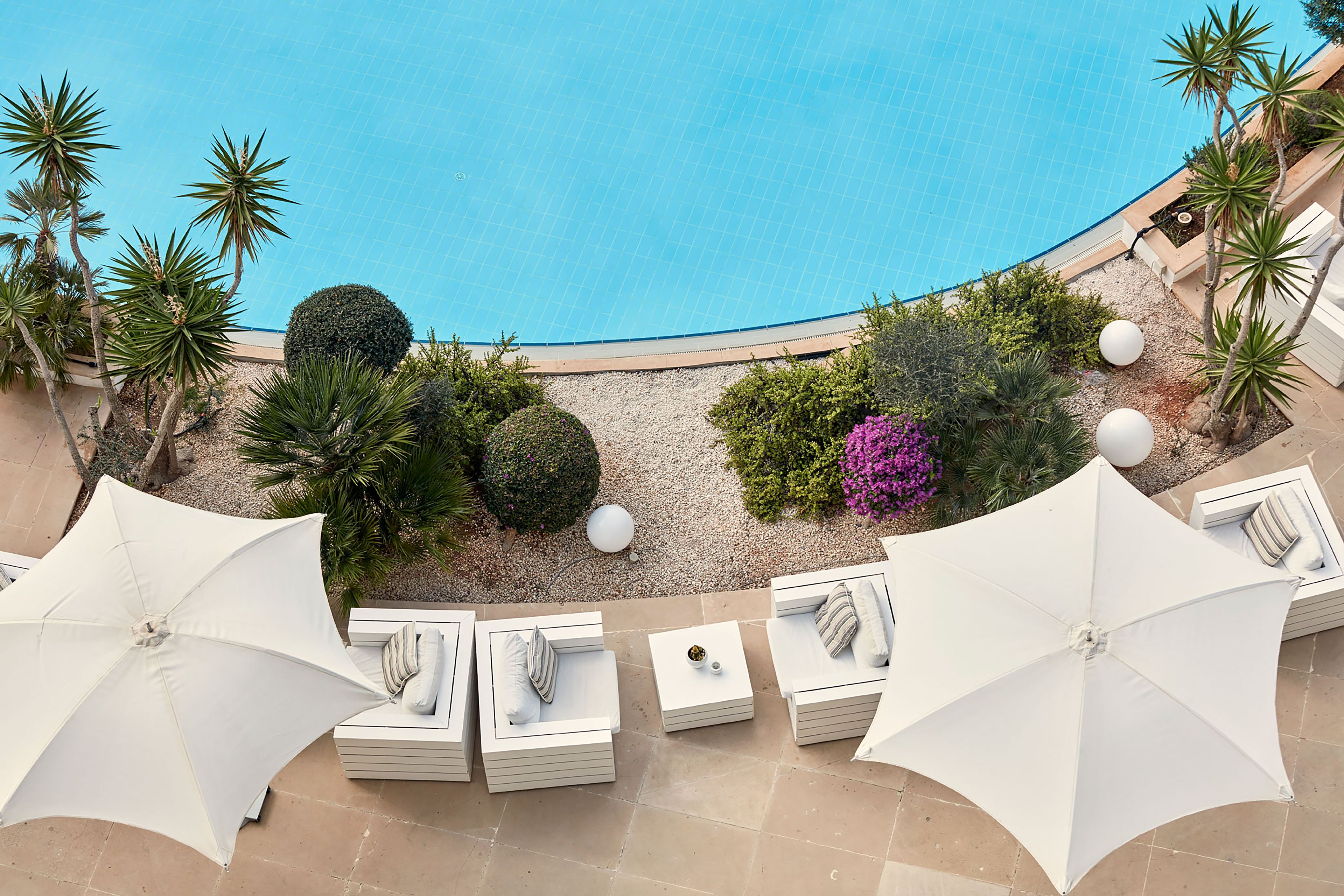 A rooftop pool area with white umbrellas, lounge chairs, and a variety of plants.