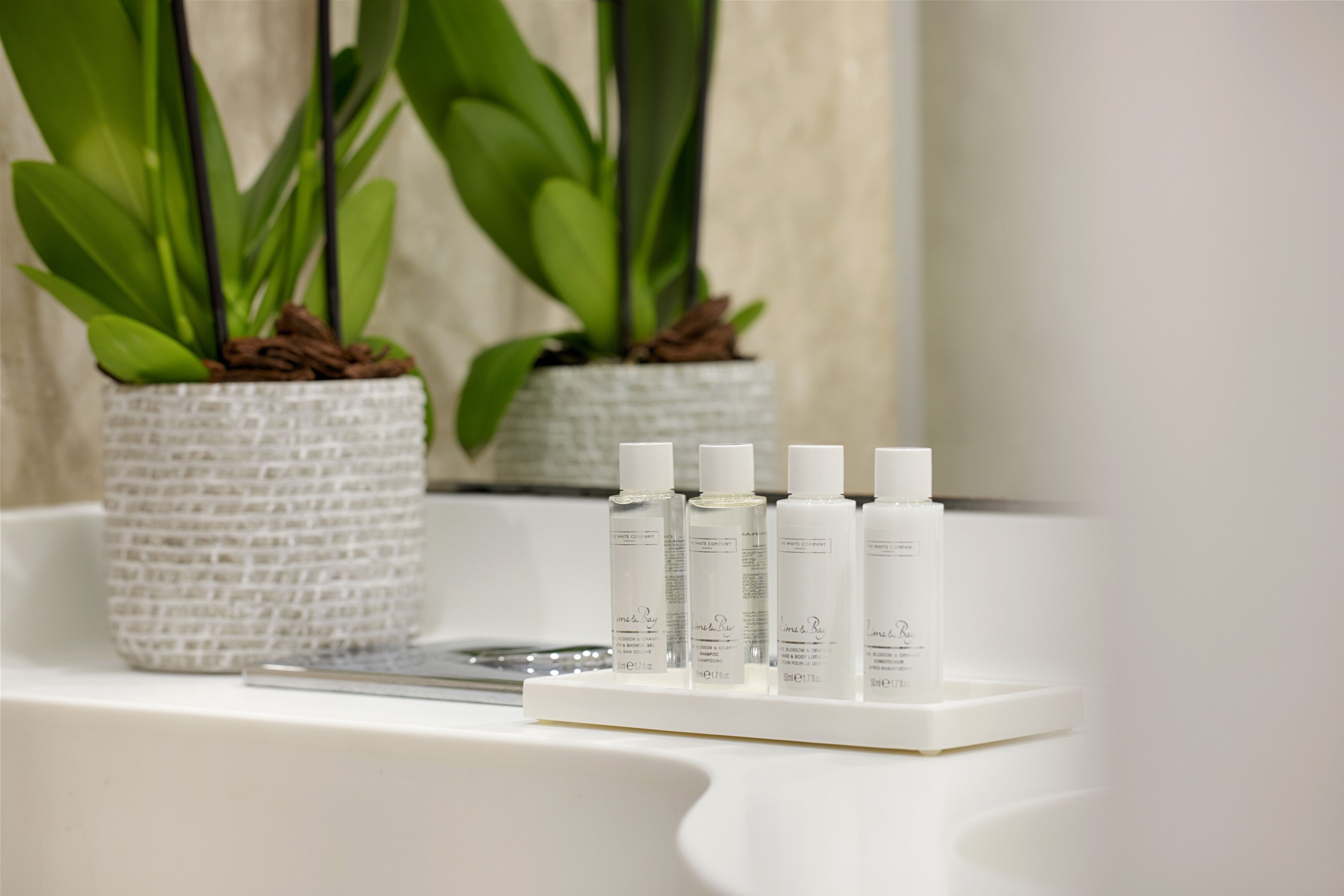 A bathroom with a white bathtub, a white sink, and two potted plants.