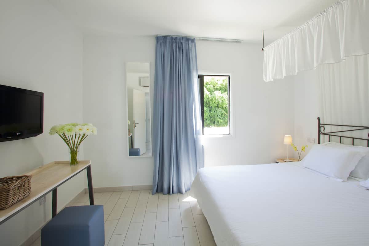 Habitación de hotel con una cama, televisión, escritorio con cesta, espejo y ventana con cortinas.