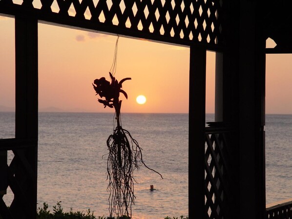 Vista do pôr do sol através de uma estrutura de madeira com uma planta pendurada.