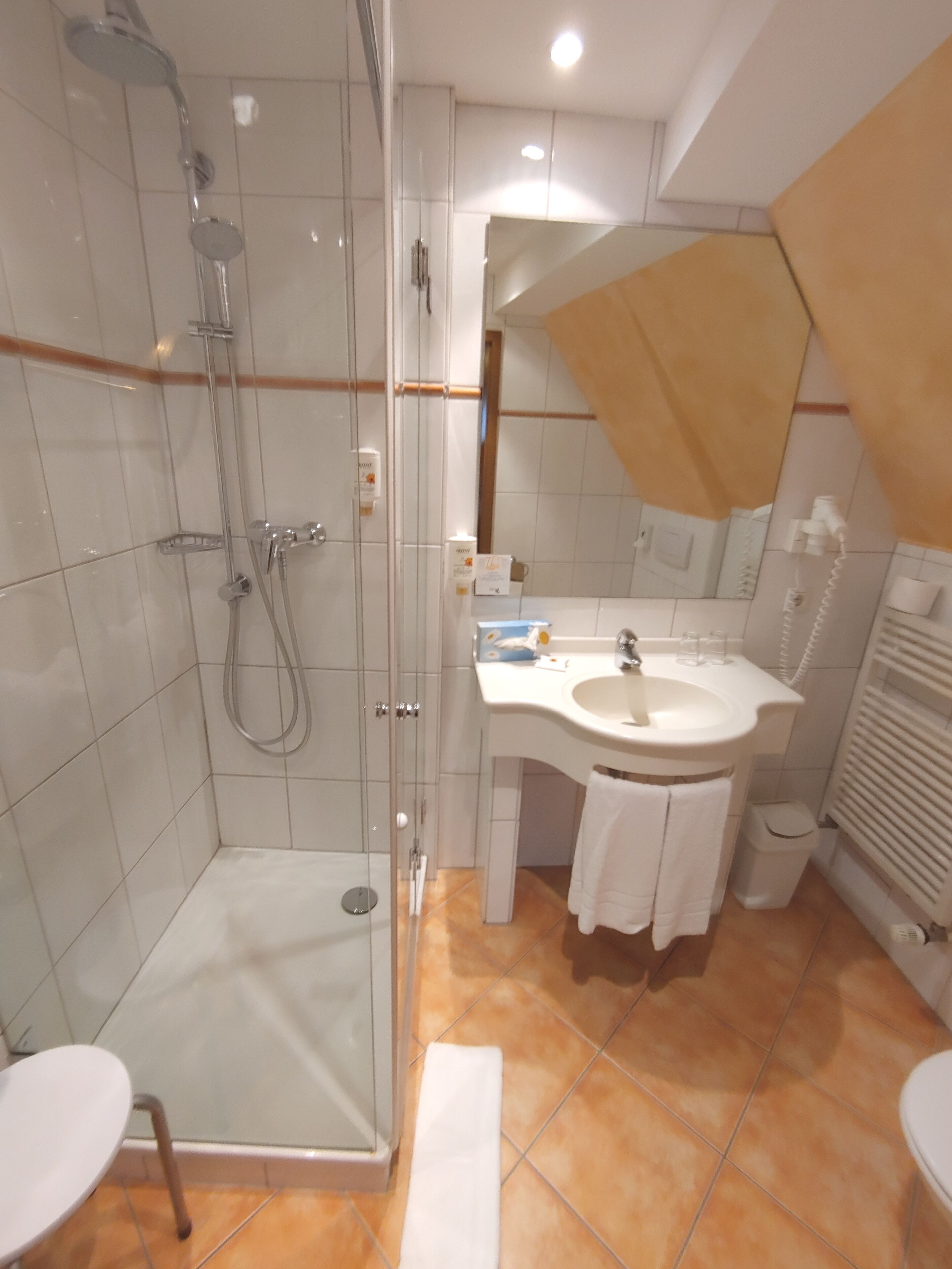 shower, free toiletries, towels