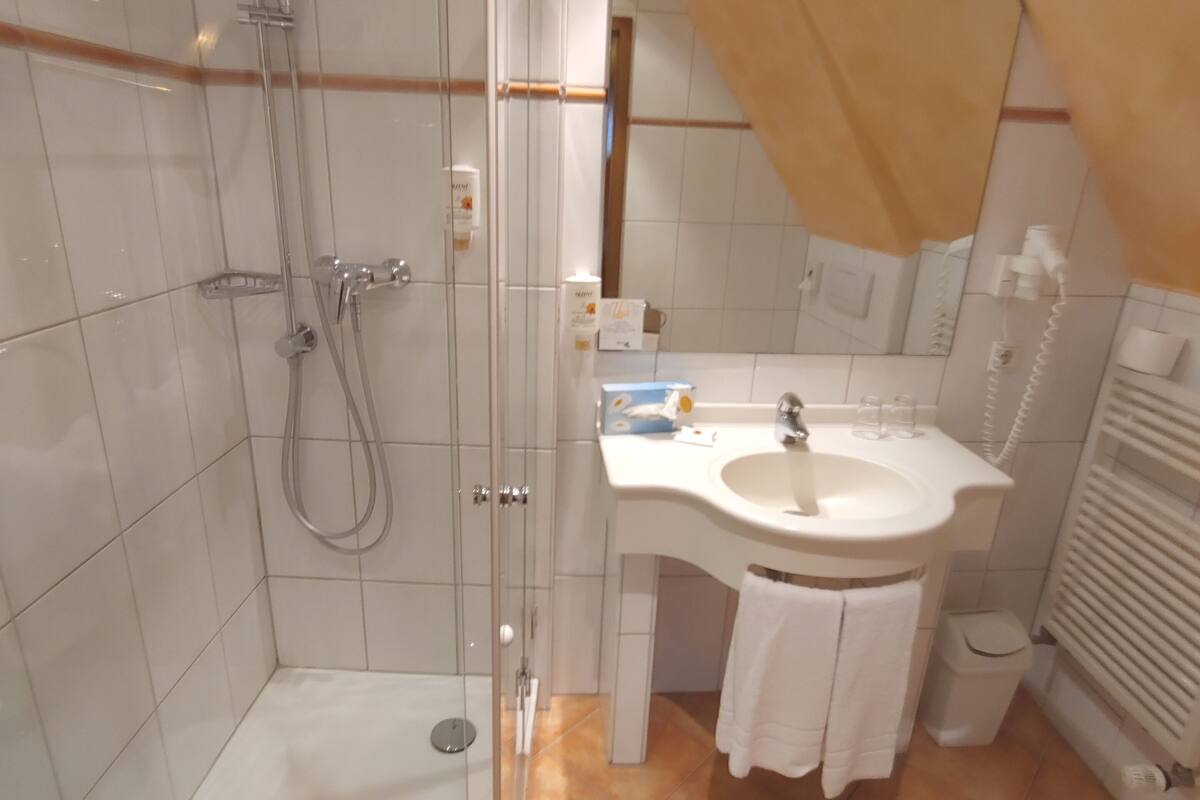 shower, free toiletries, towels