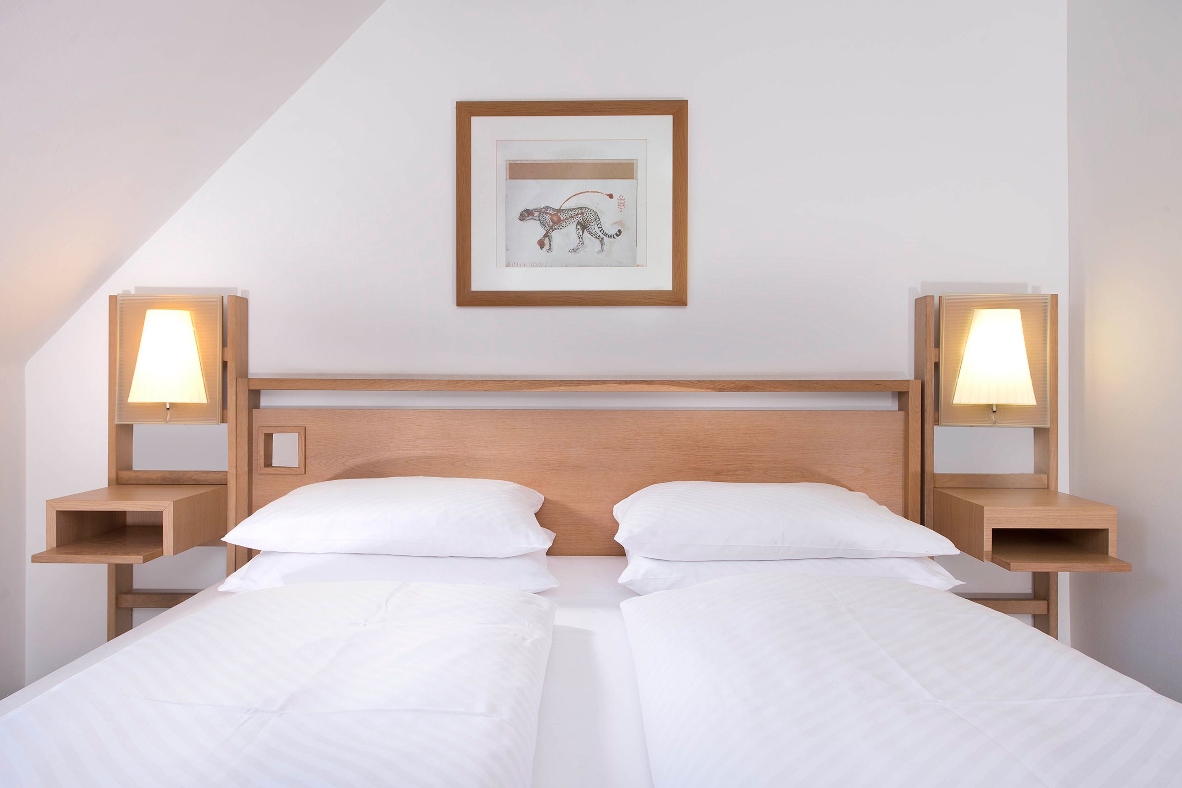 hypo-allergenic bedding, down duvets, in-room safe, desk