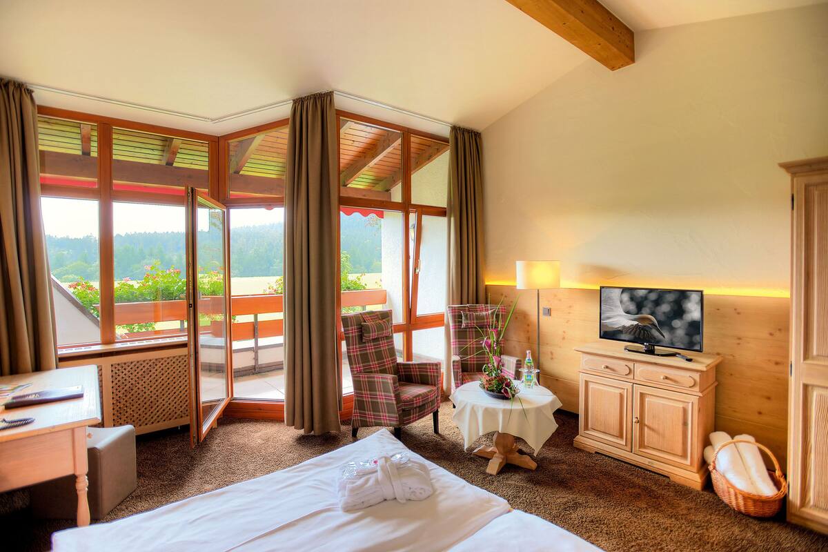 A hotel room with a bed, a desk, a chair, a television, and a view of the outdoors.