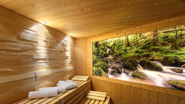 Una sauna de madera con bancos y vistas a un arroyo forestal.