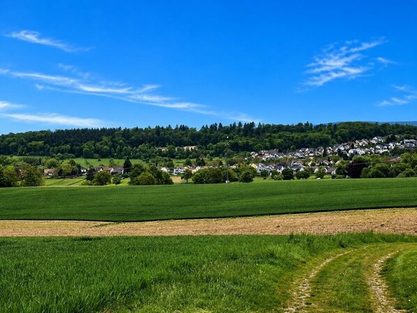 A rural landscape with fields, a clear sky, and a distant village.