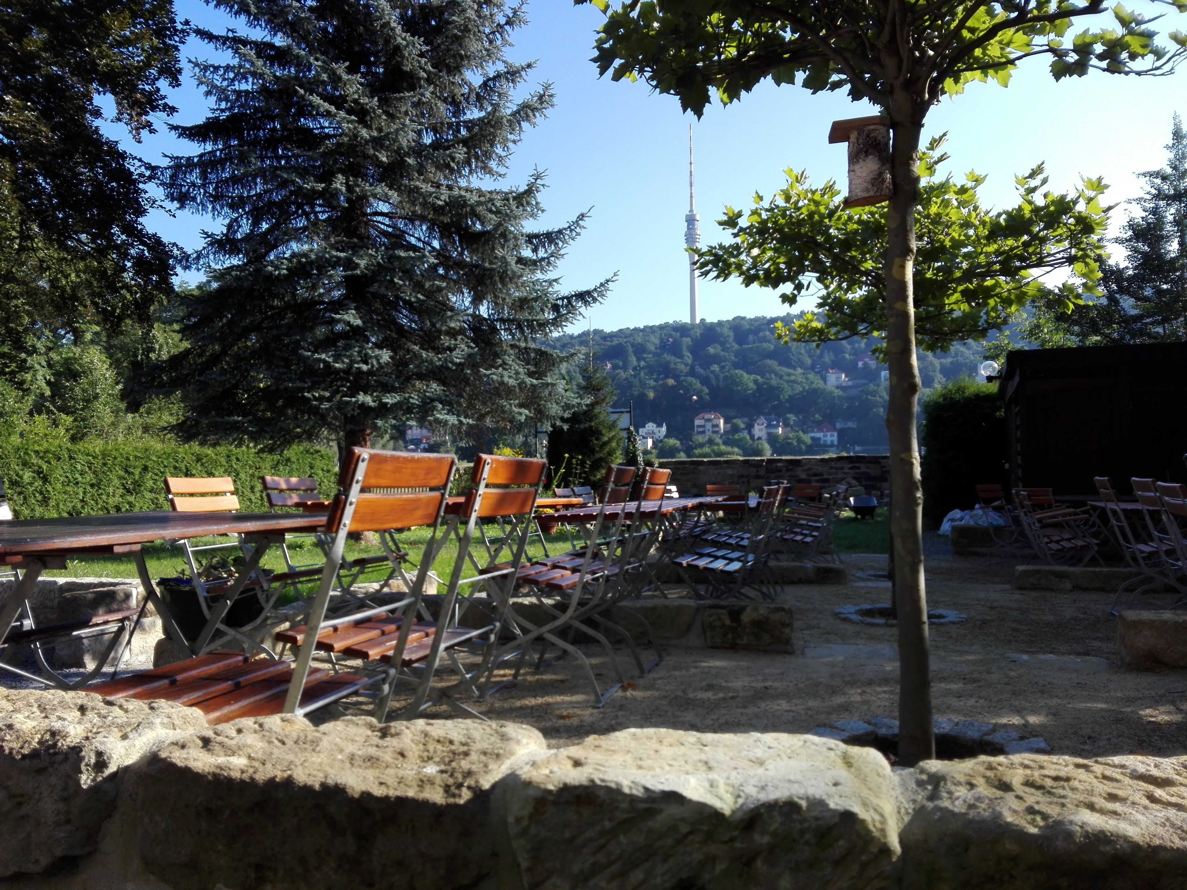 Un espace extérieur aménagé avec des tables et des chaises en bois, entouré d’arbres et offrant une vue sur une tour située au loin.