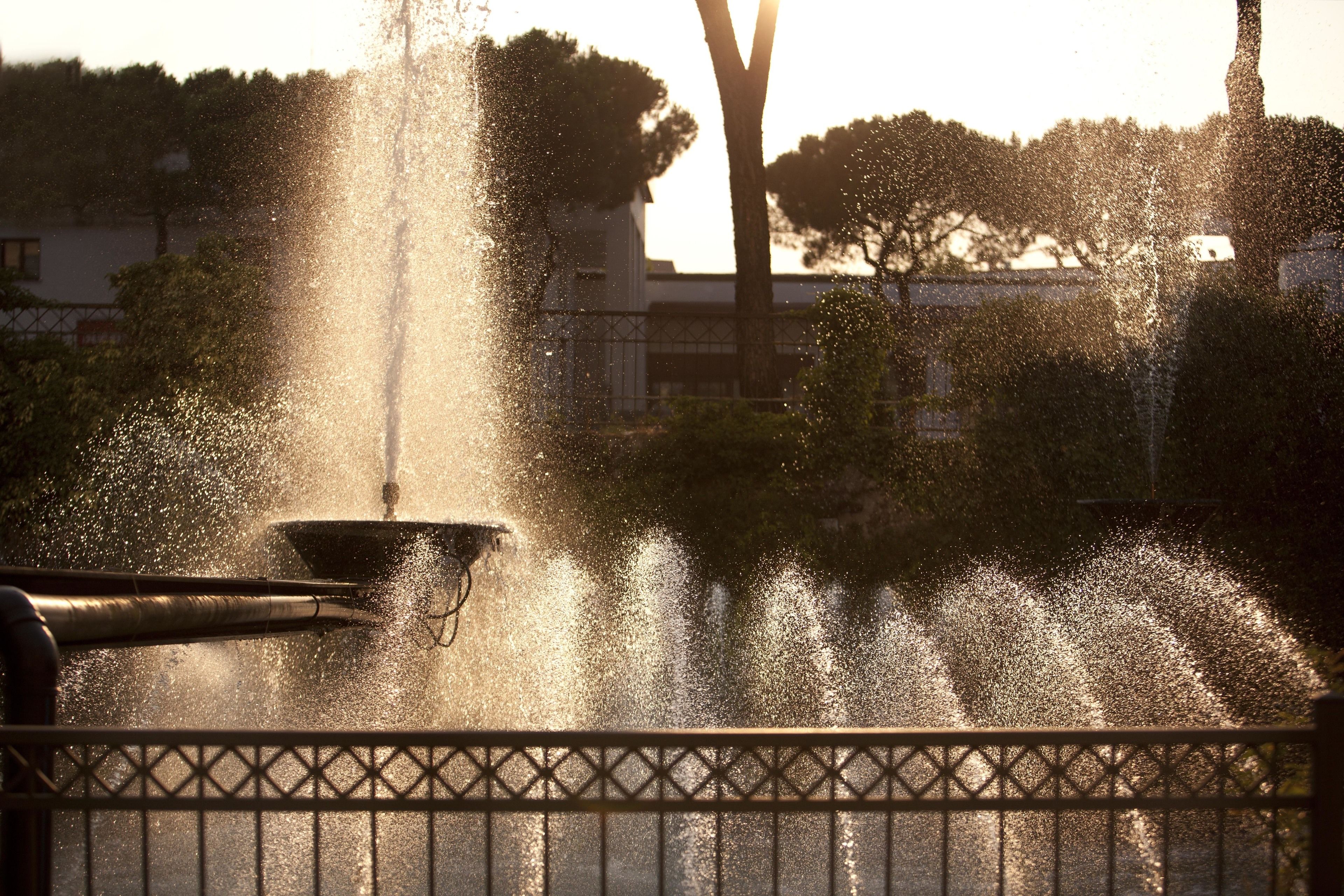 Foto - Hotel Leon d'Oro