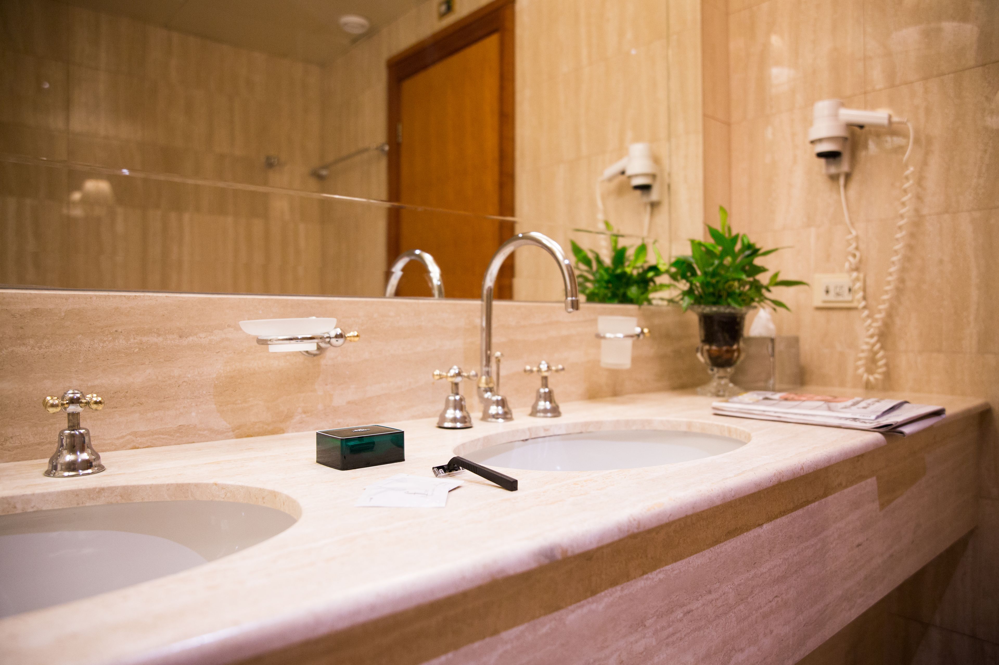 A bathroom with two sinks, a mirror, a potted plant, and a hairdryer.